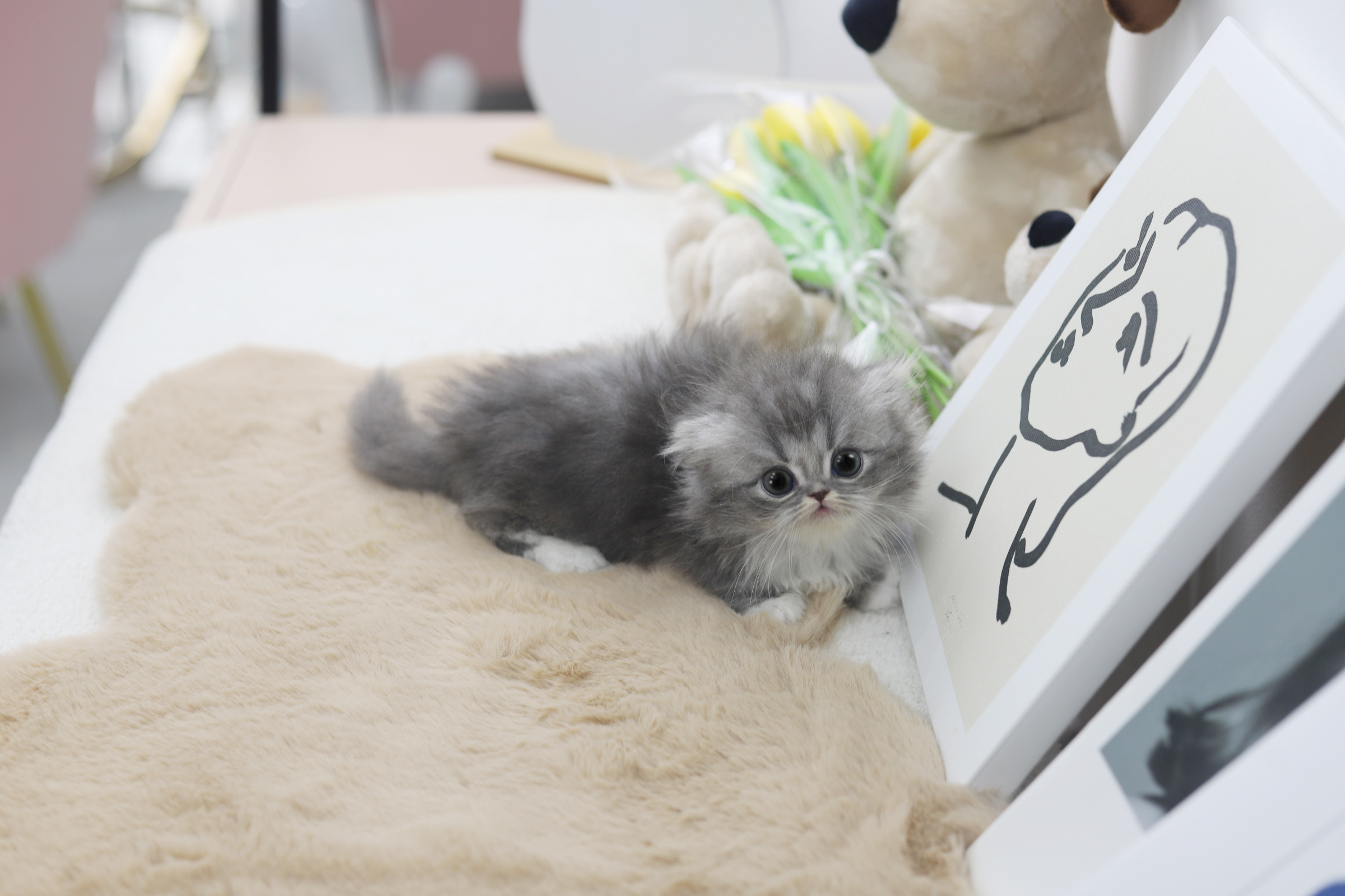 먼치킨(20만원부터)